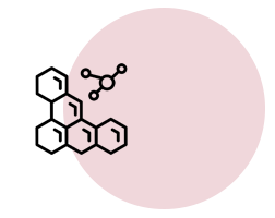 Autoimmune response